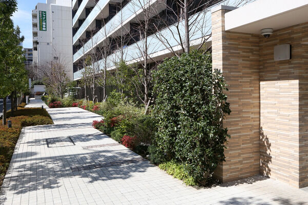 建物周辺には緑の木立と四季の花々を抜けるフォレスコリドーを設置。 建物周辺には緑の木立と四季の花々を抜けるフォレスコリドーを設置。