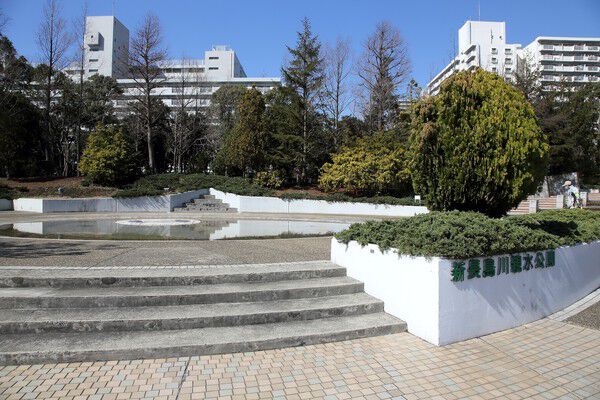 緑や水遊びを楽しめる「新長島川親水公園」まで約550m（徒歩7分）。