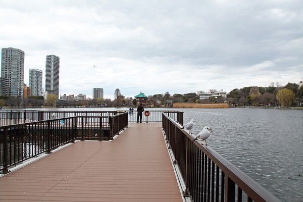 上野のオアシス、「不忍池」まで約500m（徒歩7分）。		