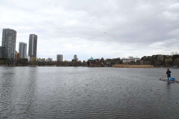 「不忍池」まで約390m（徒歩5分）。