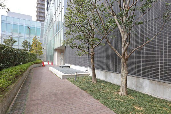 マンション周りのアプローチは植栽、芝生があり安らぎの空間を演出します。 マンション周りのアプローチは植栽、芝生があり安らぎの空間を演出します。