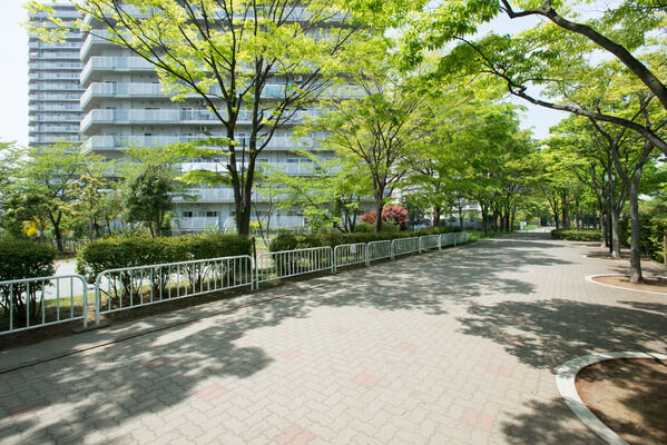 美しく整えられた歩道を優しい木漏れ日に導かれ歩く安らぎの日々。