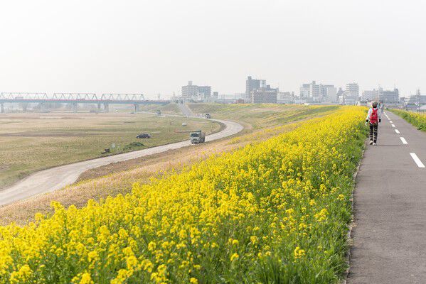 サッカー場やレジャーも楽しめる「江戸川運動公園」は約3,100m（車5分）。