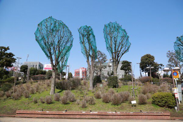 緑豊かな「津田沼公園」まで約360m（約5分）。		