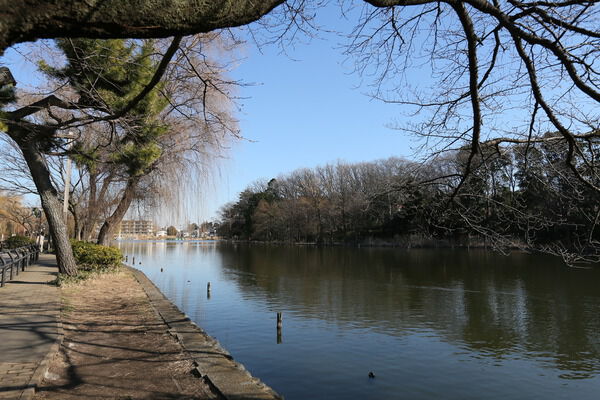 武蔵野三大湧水池を擁する「石神井公園」まで約370m（徒歩5分）。