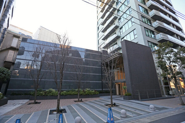 ゆったりとした公開空地にはシラカシやベニヤザクラを植栽しています。		