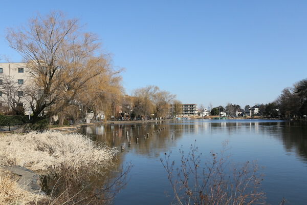 ボートやテニスが楽しめる「石神井公園」まで約1,630m（徒歩21分）。