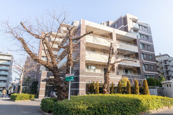 クレヴィア赤羽 3枚目 クレヴィア赤羽