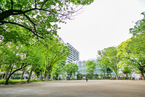 板谷公園　現地より約50m