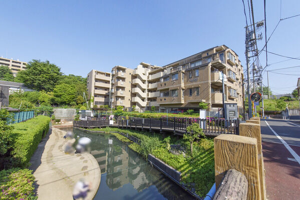 氷川つり堀公園　現地より約50m