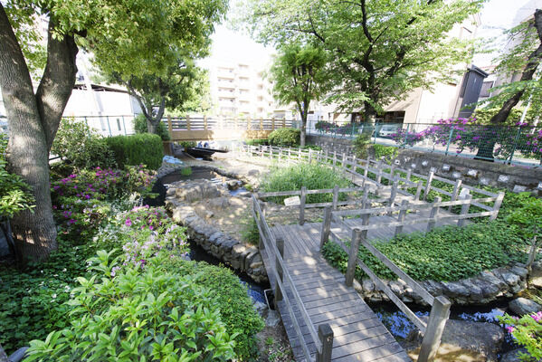 氷川つり堀公園　現地より約50m