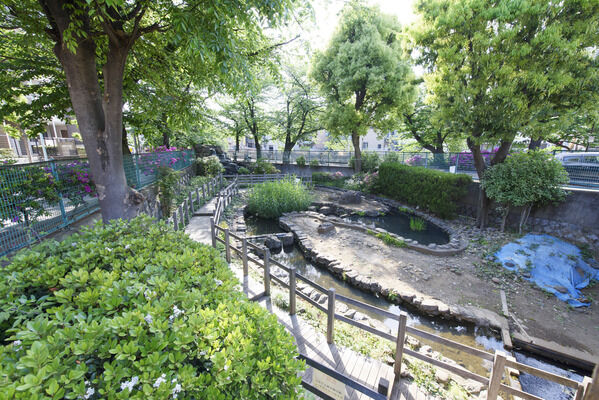 氷川つり堀公園　現地より約50m