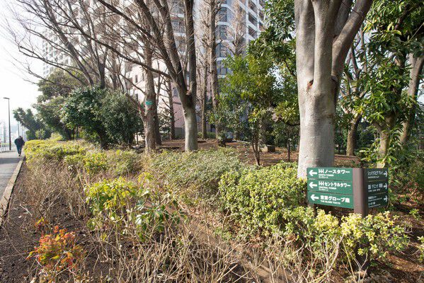 敷地内に約10,000本の樹木が植えられた豊かな植栽。 敷地内に約10,000本の樹木が植えられた豊かな植栽。
