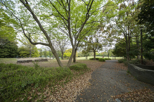 近隣公園　現地より約50m