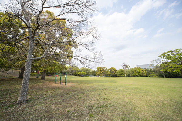 近隣公園　現地より約50m