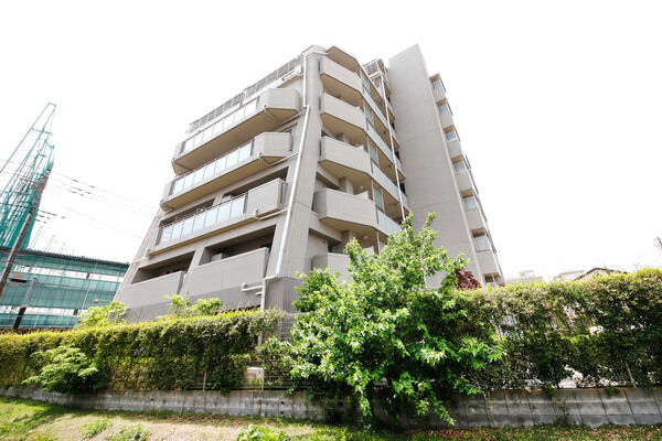 ミオカステーロ南与野