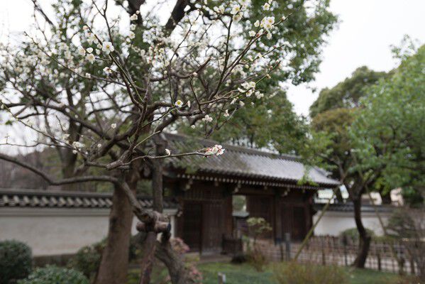 大名庭園の面影をとどめる「戸越公園」まで約1,300m(徒歩17分)。 大名庭園の面影をとどめる「戸越公園」まで約1,300m(徒歩17分)。