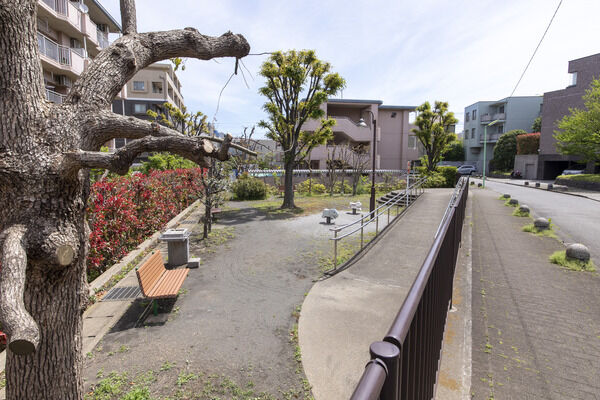 近隣公園　現地より約20m