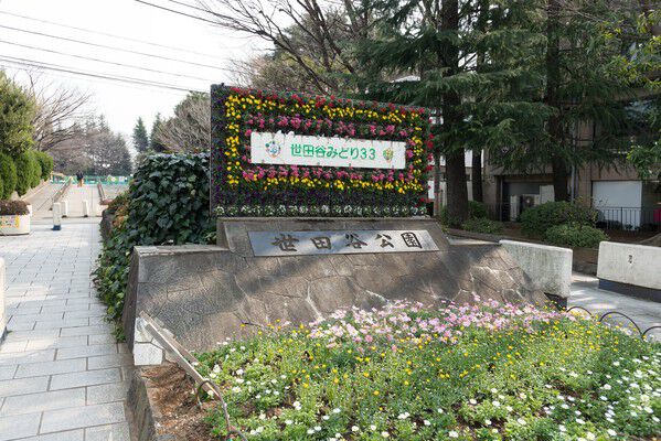 世田谷公園まで約1,500m(徒歩19分)。 世田谷公園まで約1,500m(徒歩19分)。