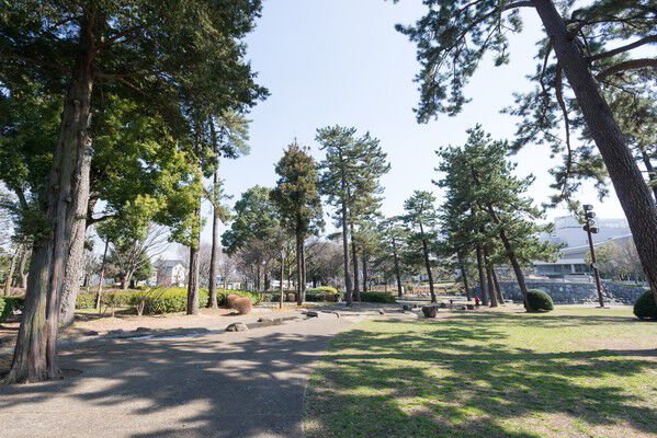 季節のイベントなどでにぎわう「相模大野中央公園」へは約560m（徒歩7分）。