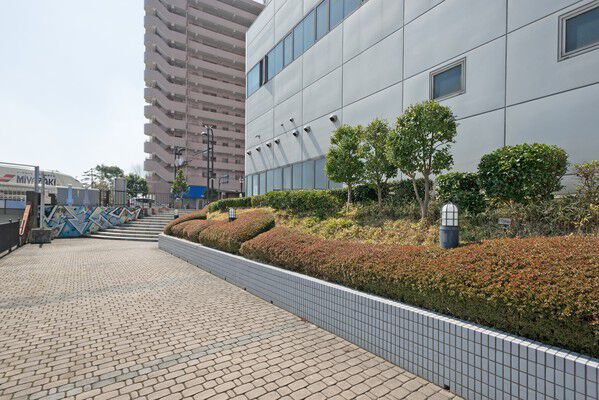 日々のお散歩に適した緑と水の共演する歩道。