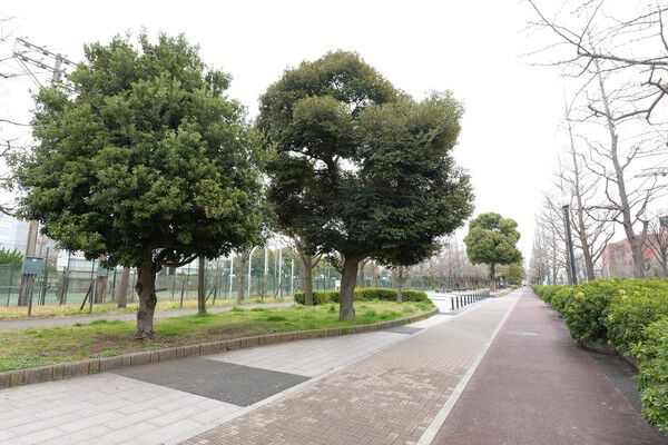 多彩な運動施設が楽しめる「富士見公園」は約800m（徒歩10分）。
