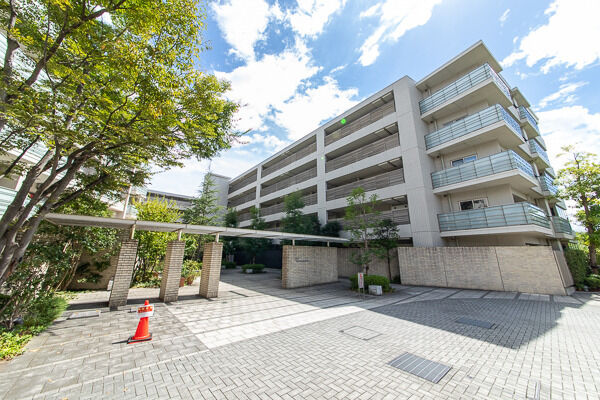 【プラウド綱島上町】近接する建物がなく、川辺の潤いある景色と明るい陽光が開放感を演出。