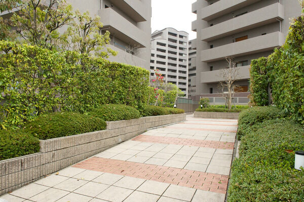 豊かな植栽が、訪れる人を導くアプローチ。