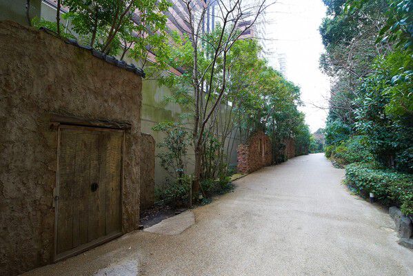 マイナスイオンが溢れ出す約110mのガーデンプロムナード。心と体を癒します。		