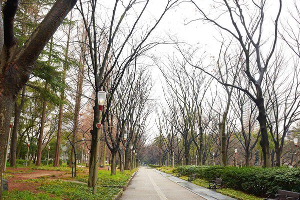 桜やバラの名所として知られる「靱公園」まで約300m(徒歩4分)。		 桜やバラの名所として知られる「靱公園」まで約300m(徒歩4分)。