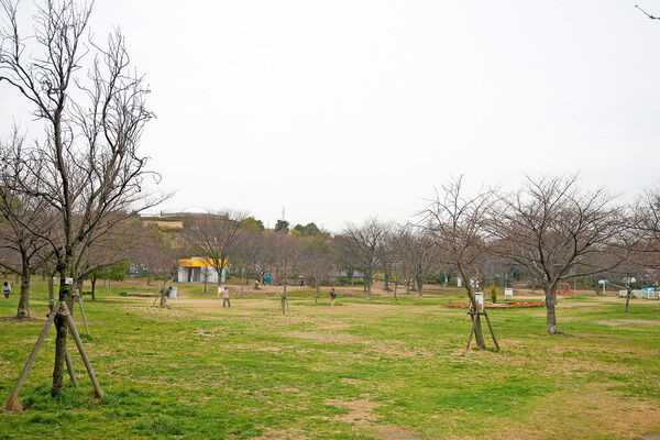 体育館やプールもある「八幡屋公園」まで約850m(徒歩11分)。 体育館やプールもある「八幡屋公園」まで約850m(徒歩11分)。