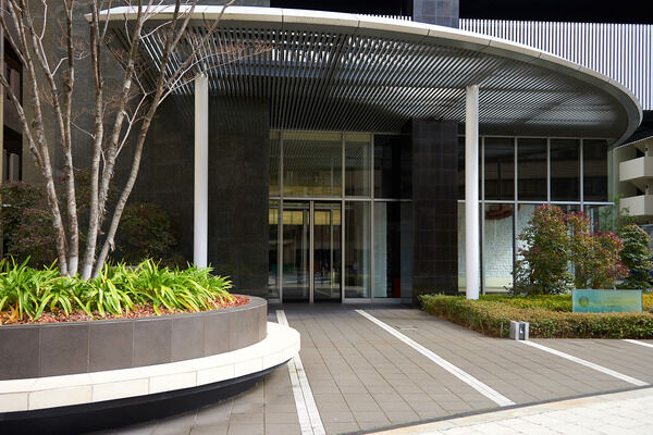 建物のシンボルとなるケヤキがエントランス前で存在感をアピール。		