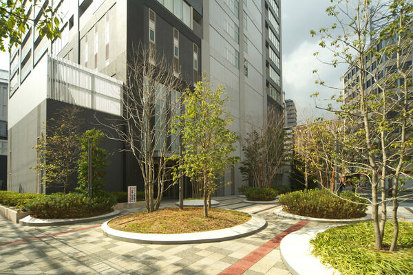 2層吹き抜けのエントランスホールが開放的で明るい生活を予感させる。		