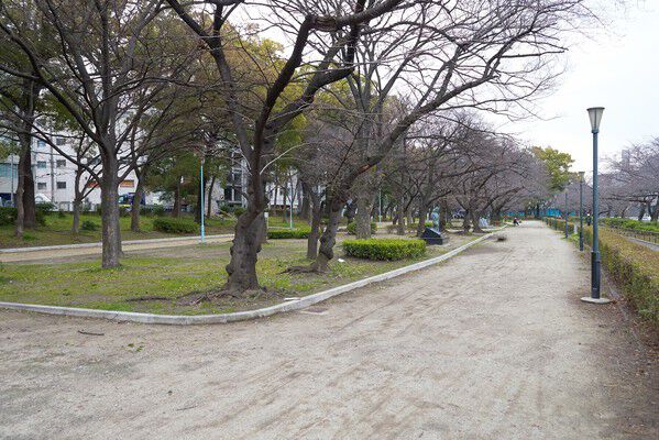 春には大川沿いに満開の桜が映える「南天満公園」は、約800m（徒歩10分）。