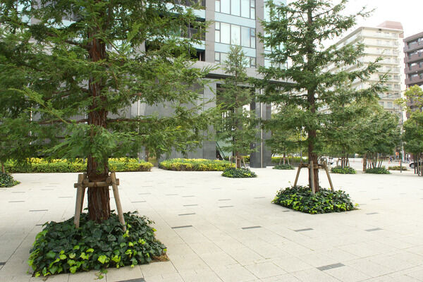 敷地面積の約65％を占める大庭園が都会にいながら自然に癒される暮らしを叶えます。		