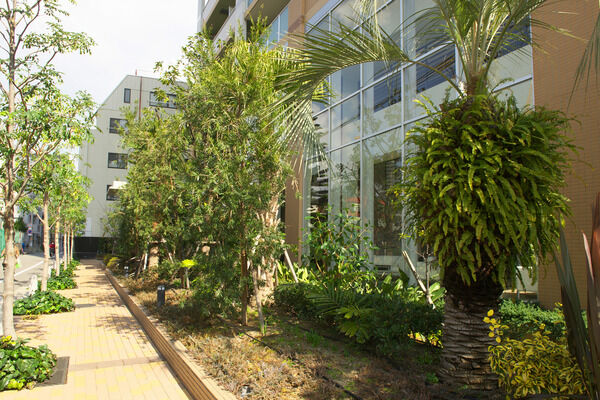 都心の喧騒を忘れ、自分に還るプライベート空間。光と緑を抱く安らぎの私邸です。 都心の喧騒を忘れ、自分に還るプライベート空間。光と緑を抱く安らぎの私邸です。