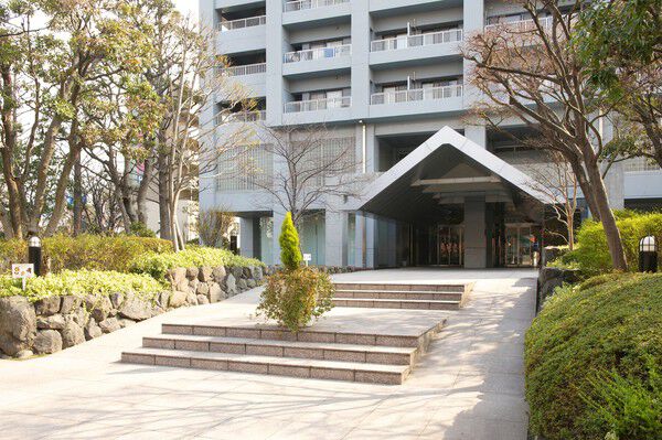 アプローチの両側をはじめ、敷地内に緑が配されています。		