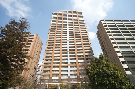 淡いブラウンとホワイトが、気品を感じさせます。		