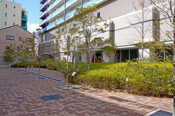 マンション前は広々としていて、木々も配された憩いの空間です。		