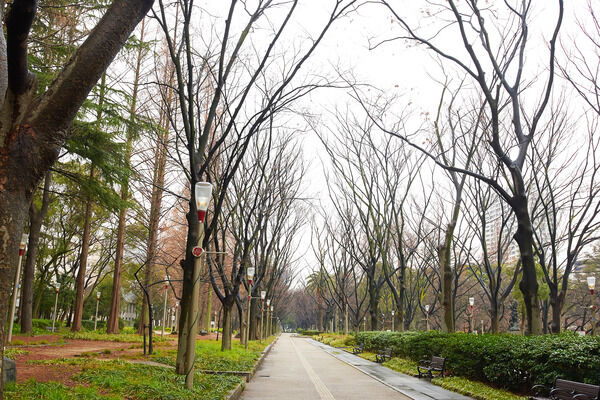 界隈有数の緑に親しめるスポット「靱公園」まで約1,900m（徒歩24分）。		