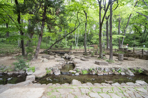 近隣公園　現地より約10m