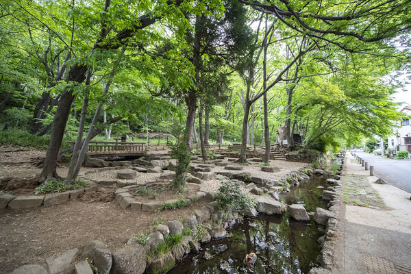 近隣公園　現地より約10m