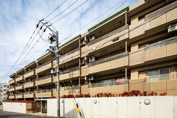 アメニティ作の山