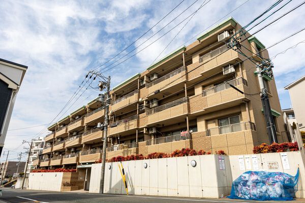 アメニティ作の山