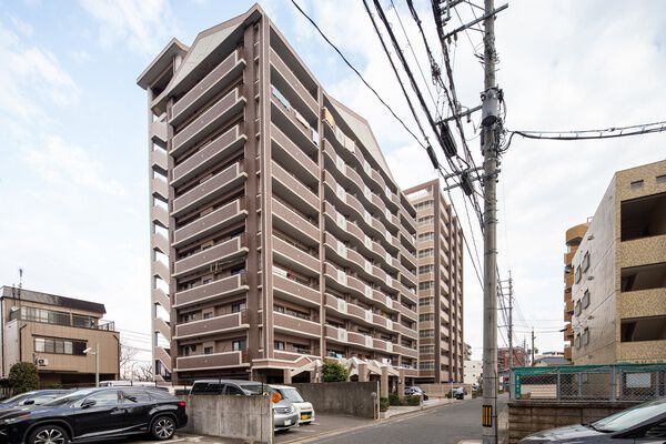 アムール大橋東 2枚目 アムール大橋東