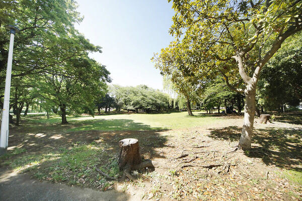 西千葉公園　現地より約250m