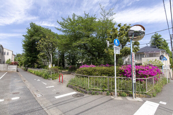 杉並区立下高井戸仲町緑地　現地より約10m