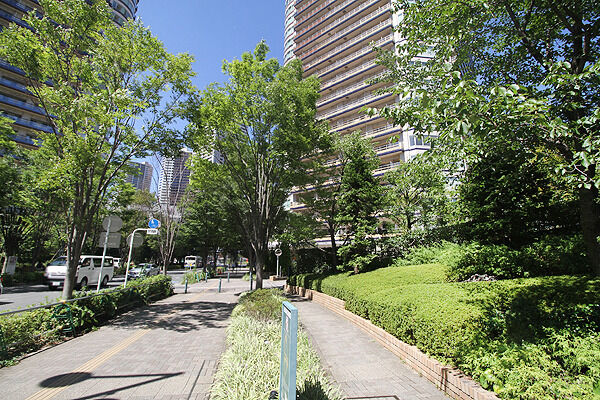 緑の安らぎを感じるアプローチ。 緑の安らぎを感じるアプローチ。