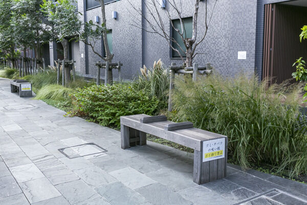 四季の訪れを知らせる多彩な樹木。