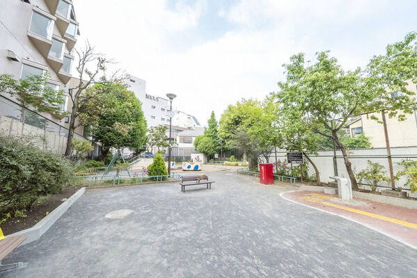 追分公園　現地より約50m